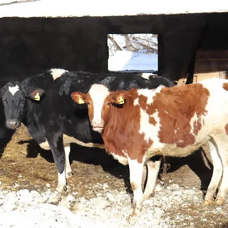 Séjour à la ferme Pechhof *