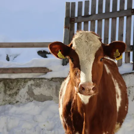Séjour à la ferme Pechhof Innsbruck