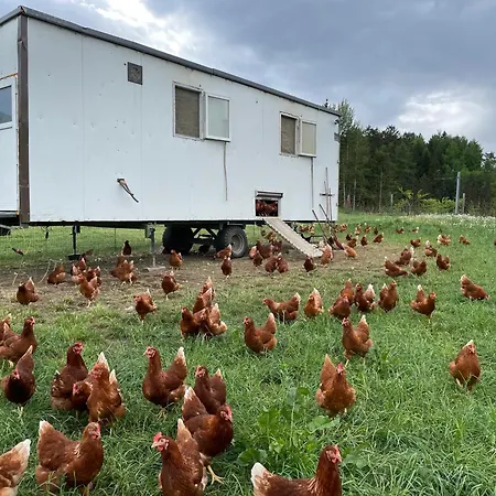 Pechhof * Ίνσμπρουκ