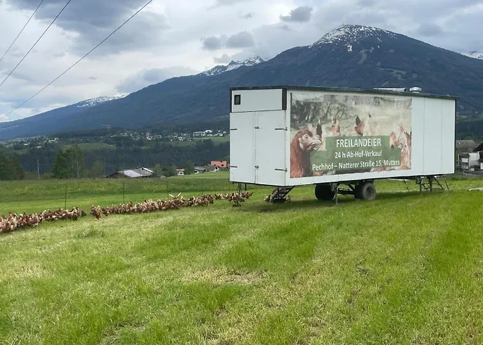 Pechhof Séjour à la ferme