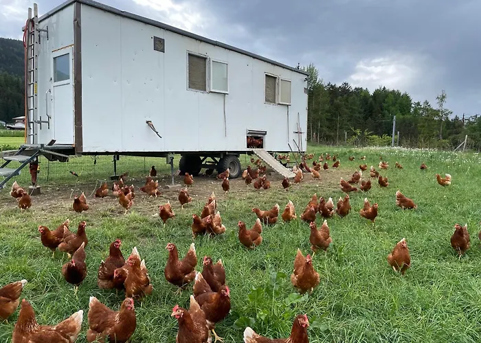 Pechhof * Ίνσμπρουκ